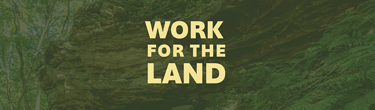 Communications Coordinator