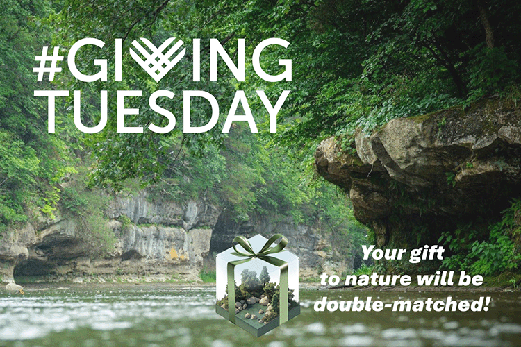 Triple Your Impact This Giving Tuesday