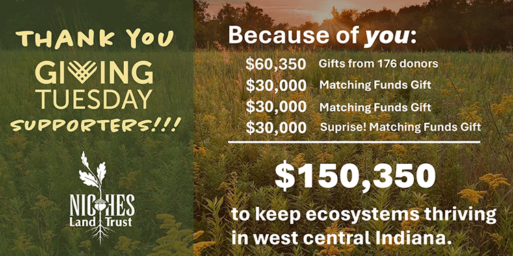 GT 2025 Campaign Results