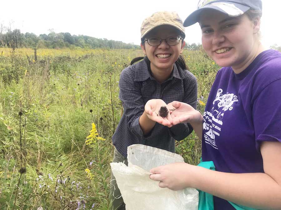 Two volunteers showing a handful of seeds.