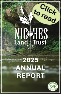 2025 Annual Report Blog Post Button