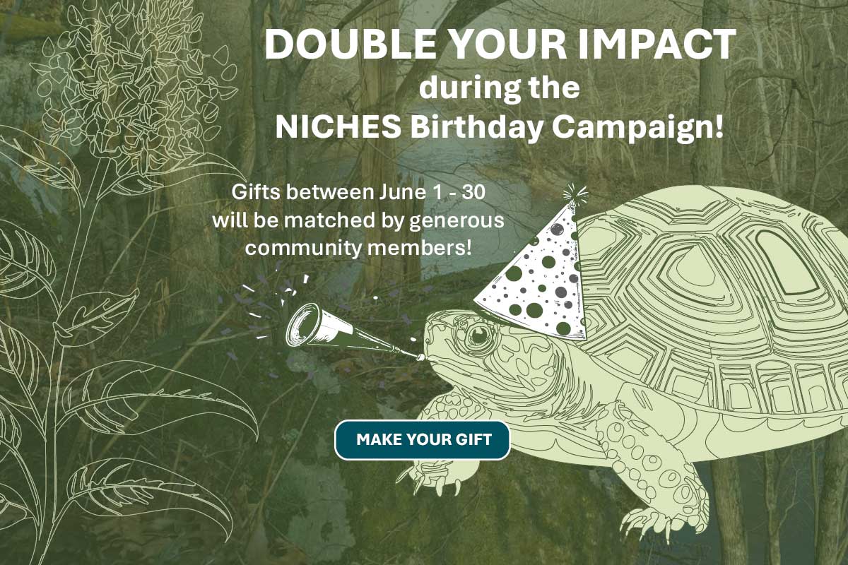 NICHES birthday celebration