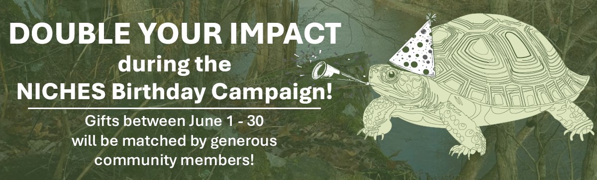 Growing Step by Step: Celebrating 31 Years of Conservation
