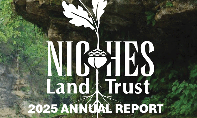 2025 Annual Report