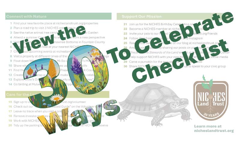 ways to celebrate checklist