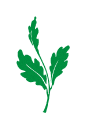 oak leaf icon