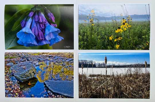 Set of four note cards with photos by Chad Phelps
