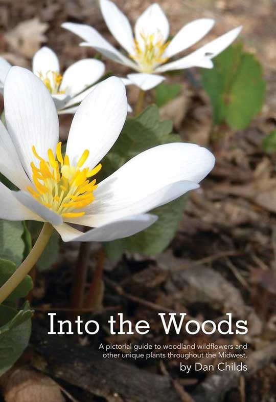 Into the Woods: A color photo guide of woodland wildflowers and other unique plants throughout the Midwest. 