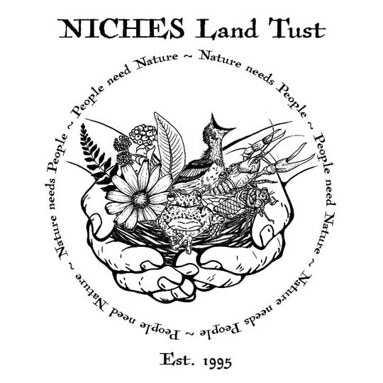 T-shirt graphic depicting two hands a birds nest, flowers, and bugs saying people need nature and nature needs people