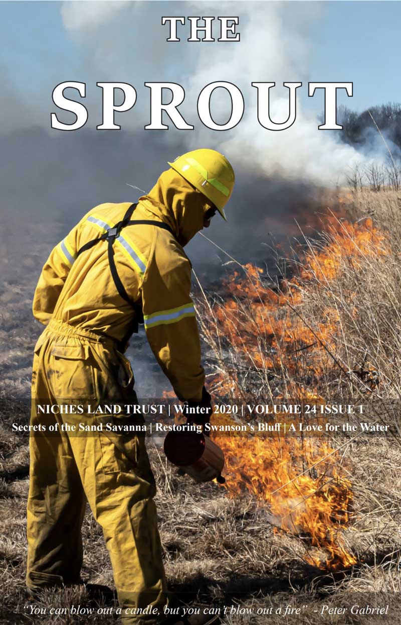 2020 Q1 Sprout Cover