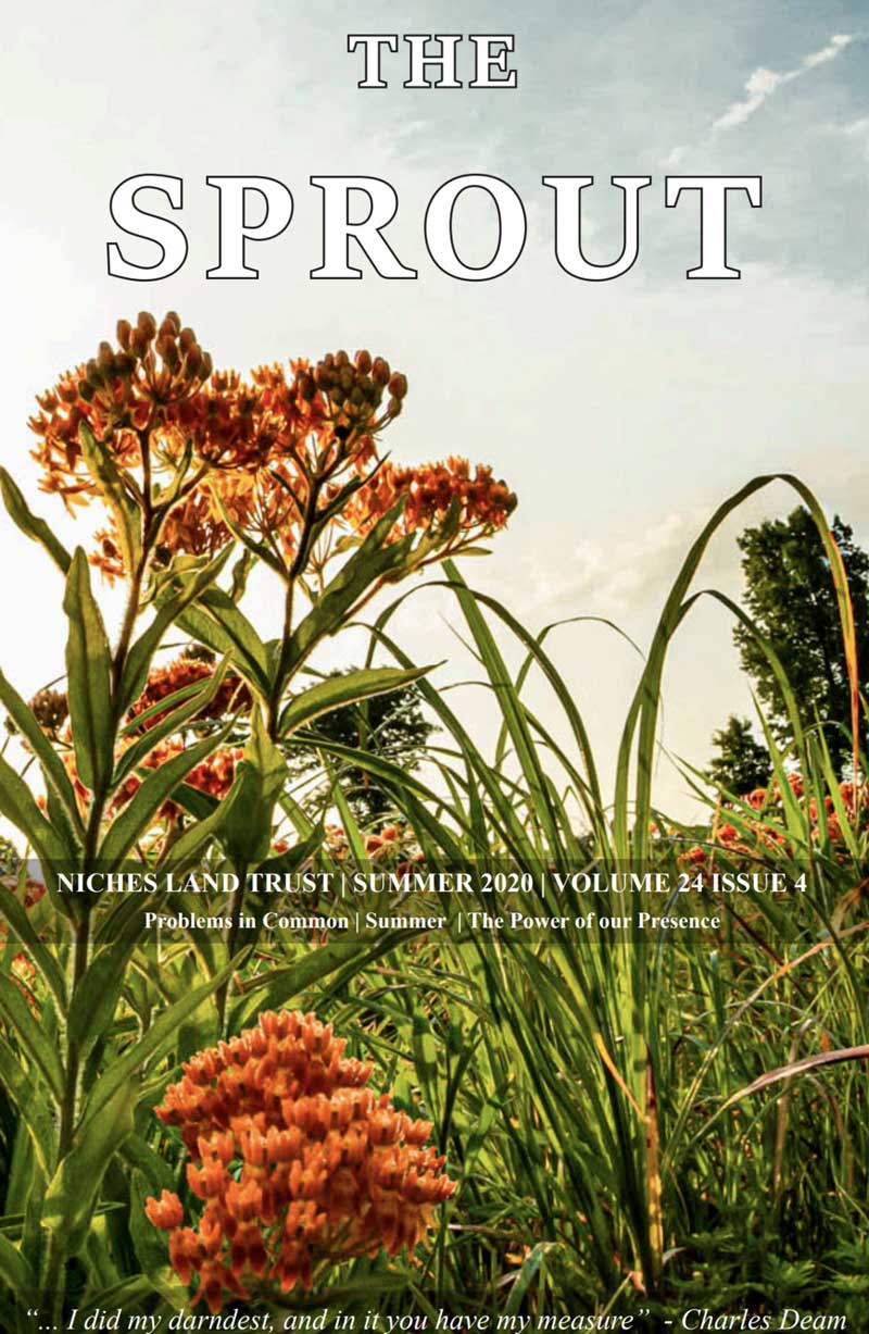 2020 Q1 Sprout Cover