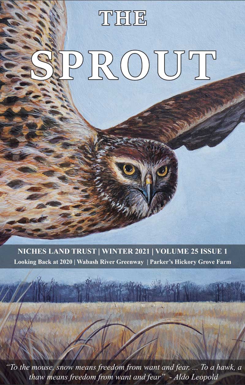 2021 Winter Sprout Cover