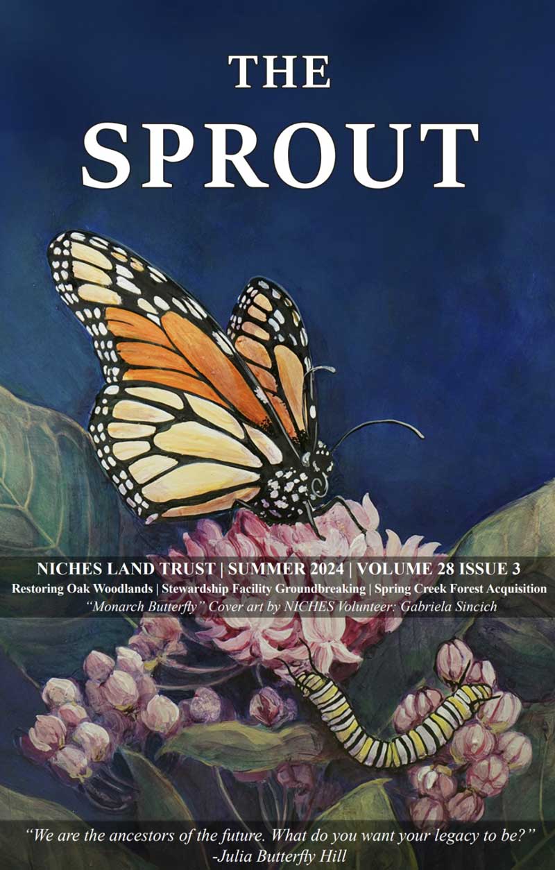 Color illustration of yellow and orange Monarch butterfly on the cover of The Sprout